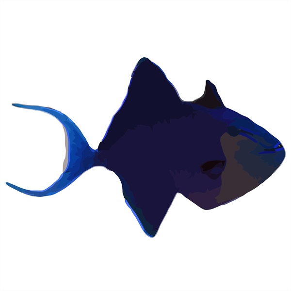 فرشته ماهی کورال بیوتی coral beauty angelfish