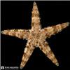 Edit_marine_fish_photo_catalog_202608061105