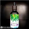 Phytoplankton