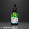 Phytoplankton