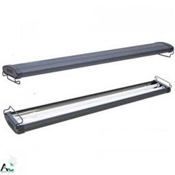 T5 Dual Lamp DP