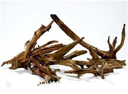 Drift Wood