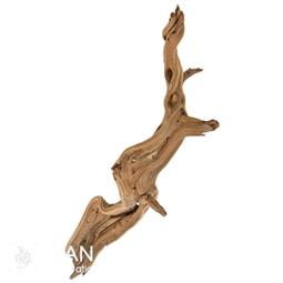 Magic Wood