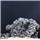 Formicary Stone