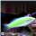 راس سبز ( Green wrasse )