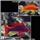 Lyretail Anthias