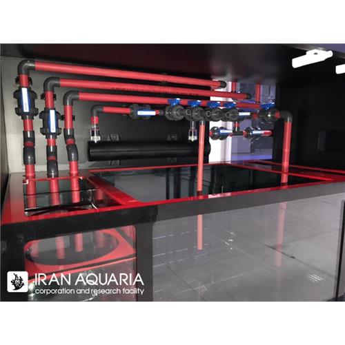 Red Pipe