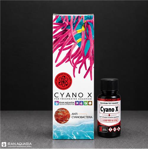 سیانو ایکس (CYANO X)