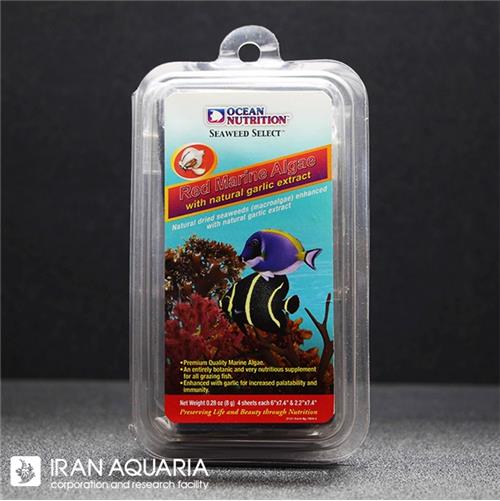 Red Marine Algea