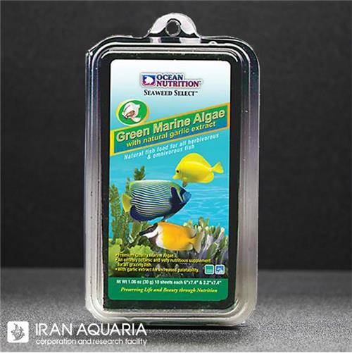Green Marine Algea