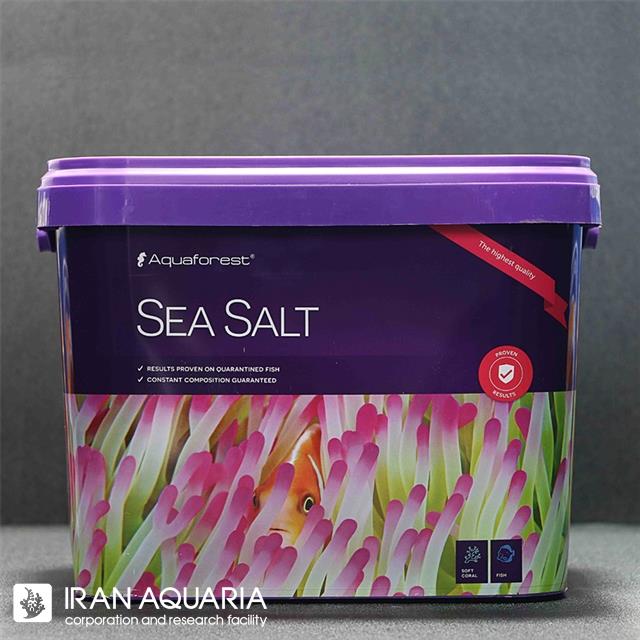 سی سالت (Sea Salt)