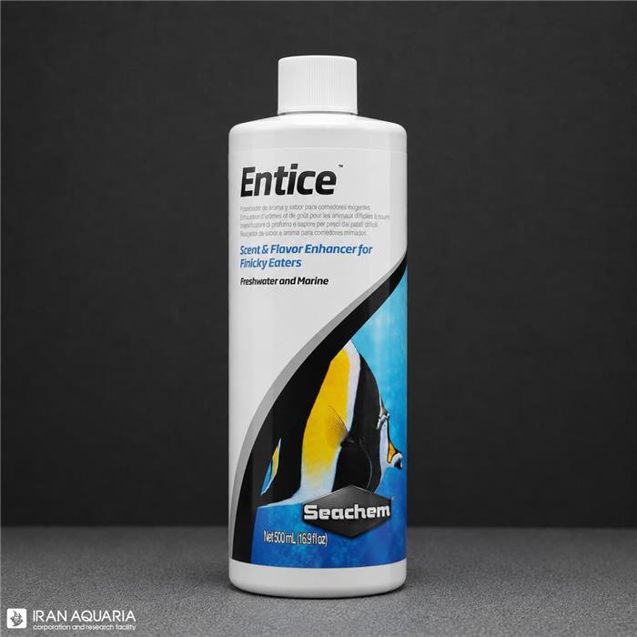 انتایس (Entice)