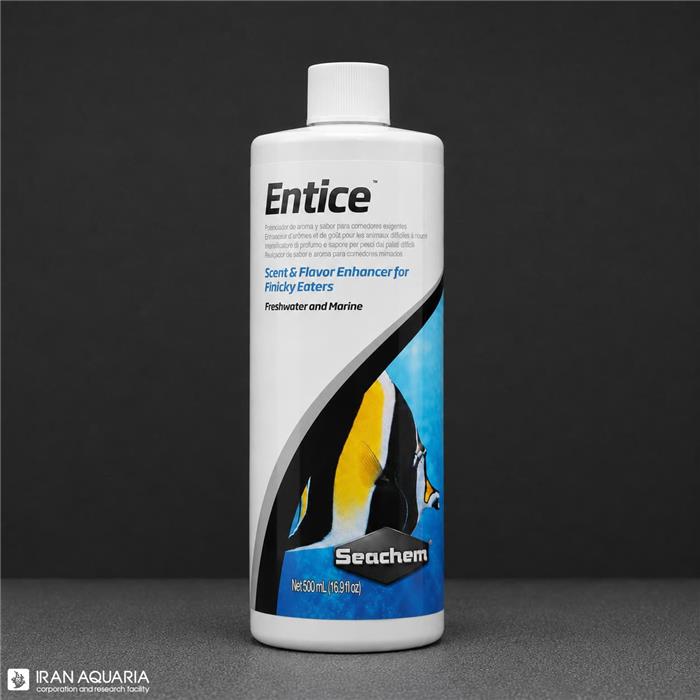 انتایس (Entice)