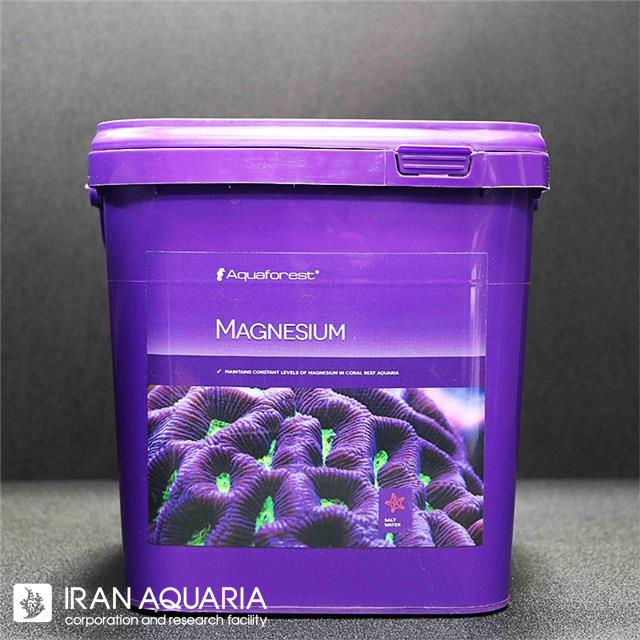 منیزیوم (Magnesium)