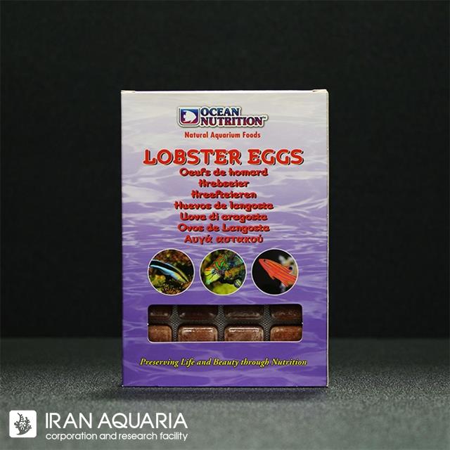 لابستر اگز (lobstereggs)