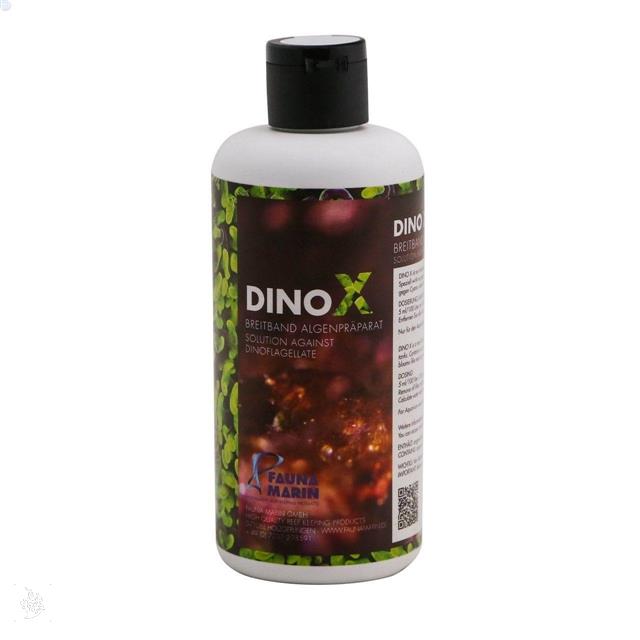 داینو ایکس  (Dino X)