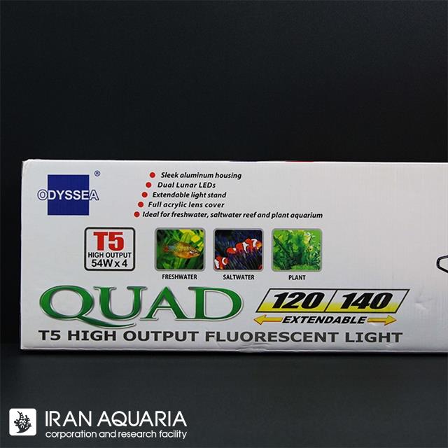 قاب فلیپ کواد تی 5، 4 لامپی (T5 ،4 Lamps-Flip Quad)