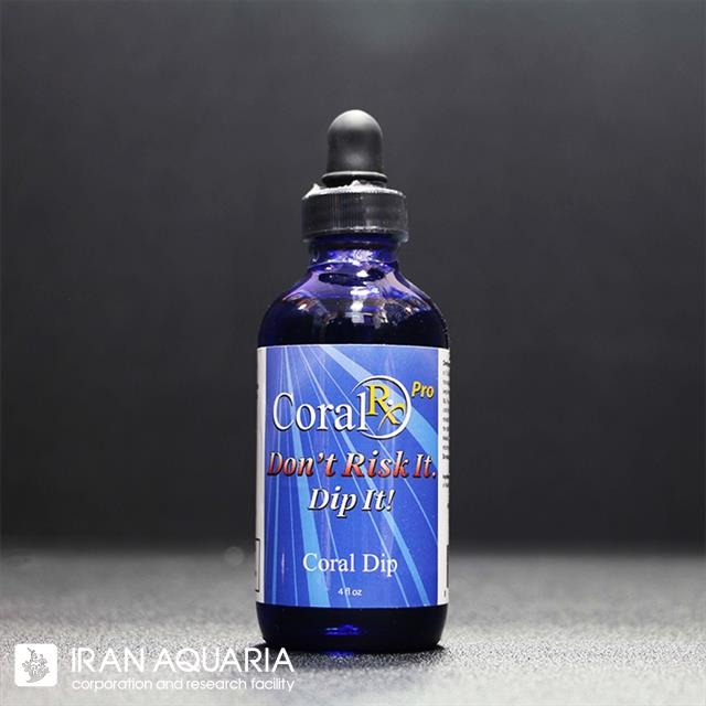 کورال دیپ (coral DIP)