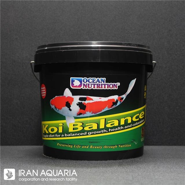 کوی بالانس (Koi Balance)