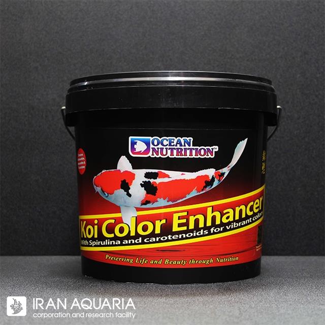 کوی کالر (Koi Color)