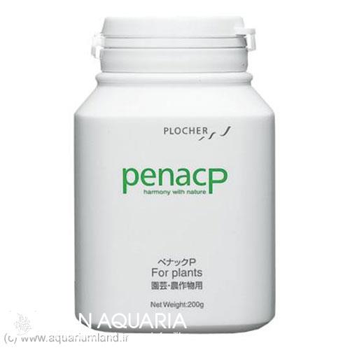 پیناک پی (PENAC-P)