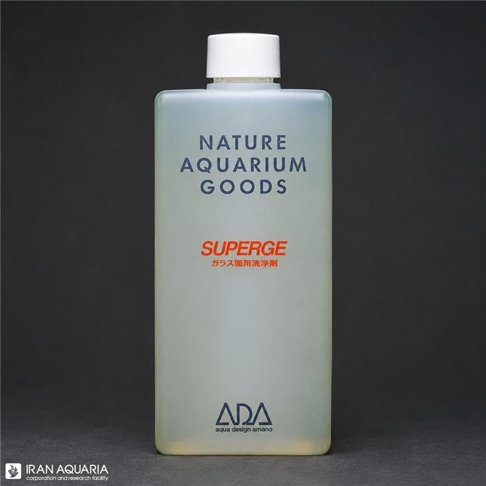 سوپرژ (SUPERGE)