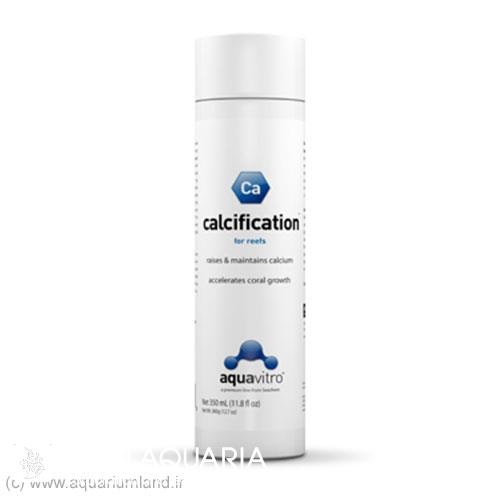 کلسیفیکیشن (Calcification)