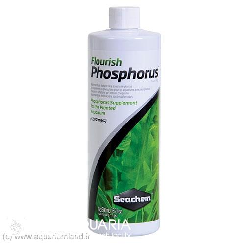 فلوریش فسفروس (Fourish Phosphorus)