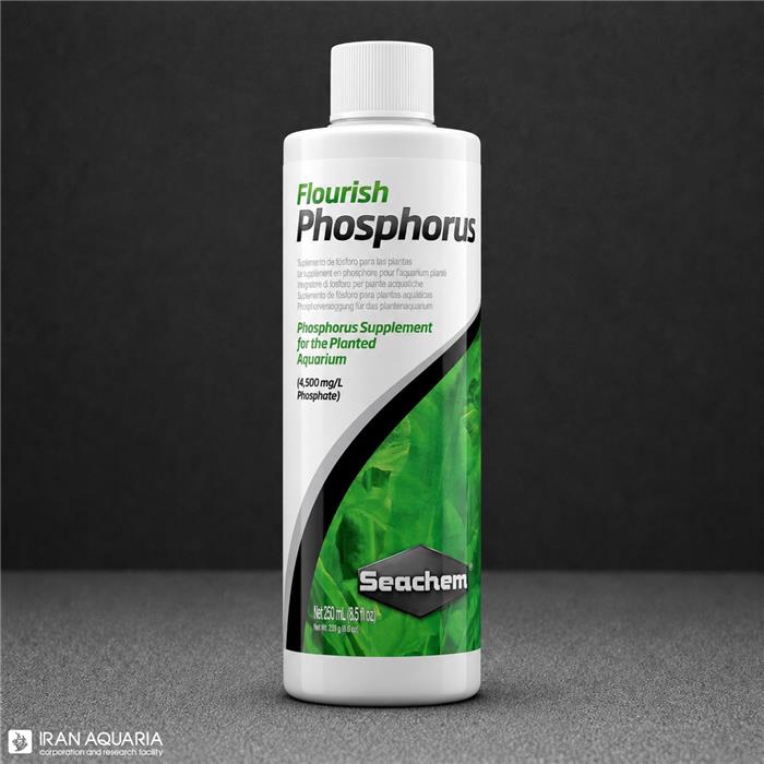 فلوریش فسفروس (Fourish Phosphorus)