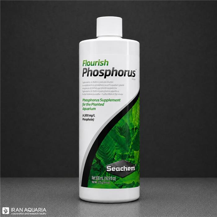 فلوریش فسفروس (Fourish Phosphorus)