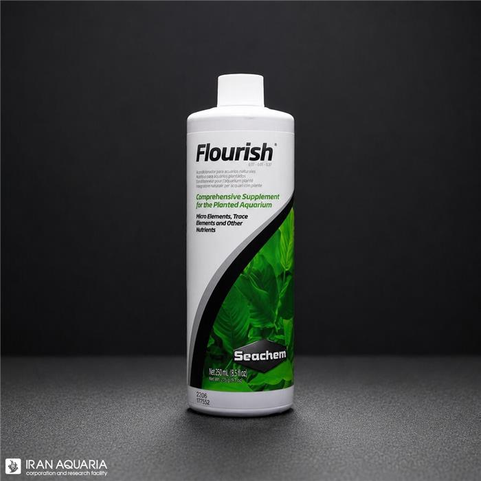فلوریش (Flourish)