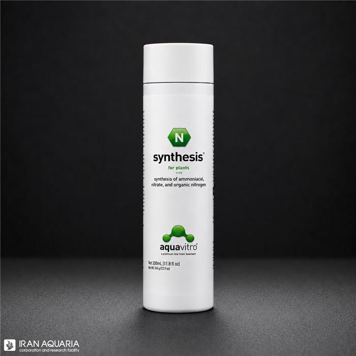 سینتسیس (Synthesis) 