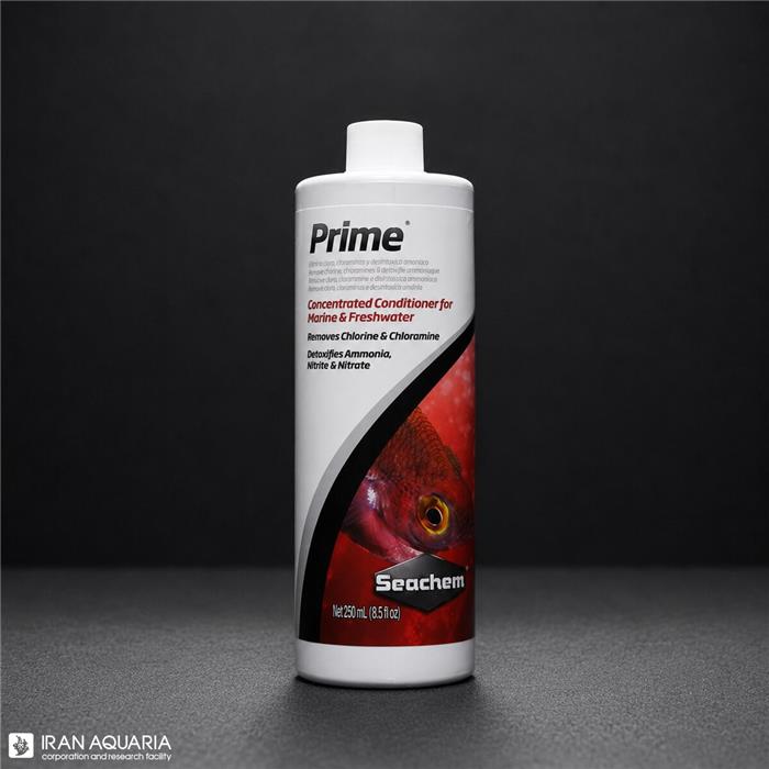 پرایم (Prime)
