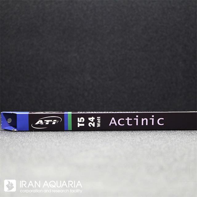 آکتینیک (Actinic)