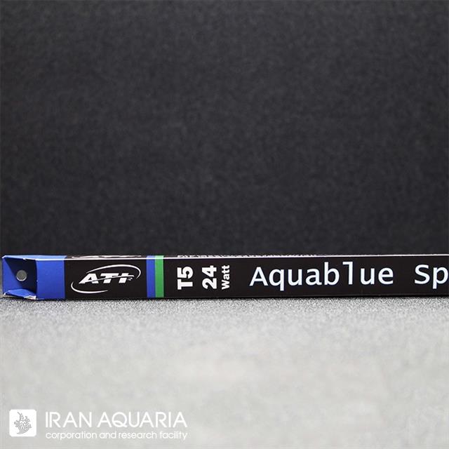 آکوا بلو اسپشیال (Aqua Blue Special)