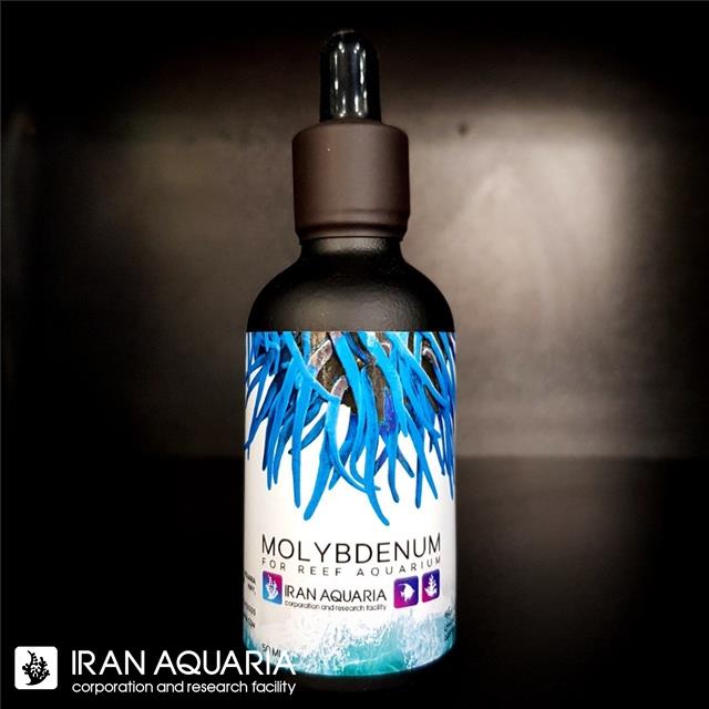 مولیبدنیوم (Molybdenum)