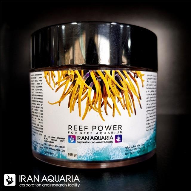 ریف پاور (Reef Power)