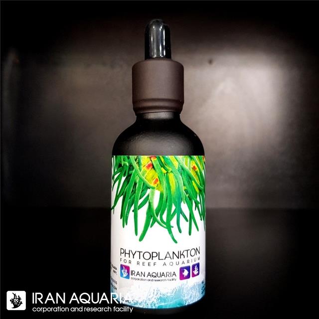 فیتوپلانکتون (Phyto Plankton)