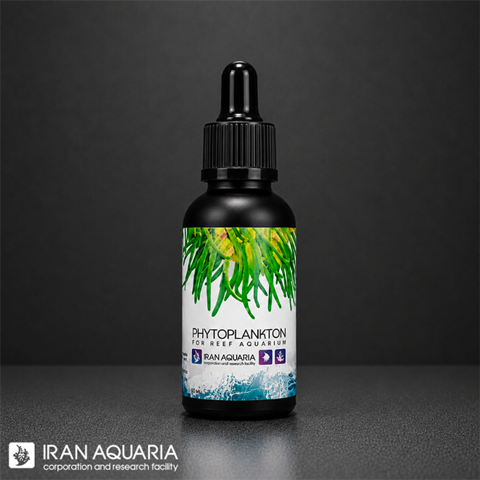 فیتوپلانکتون (Phyto Plankton)