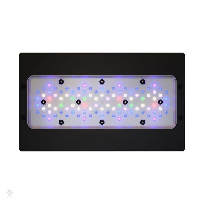 رادیون ایکس ار 30 پرو نسل 6 (Radion XR30 Pro G6) 