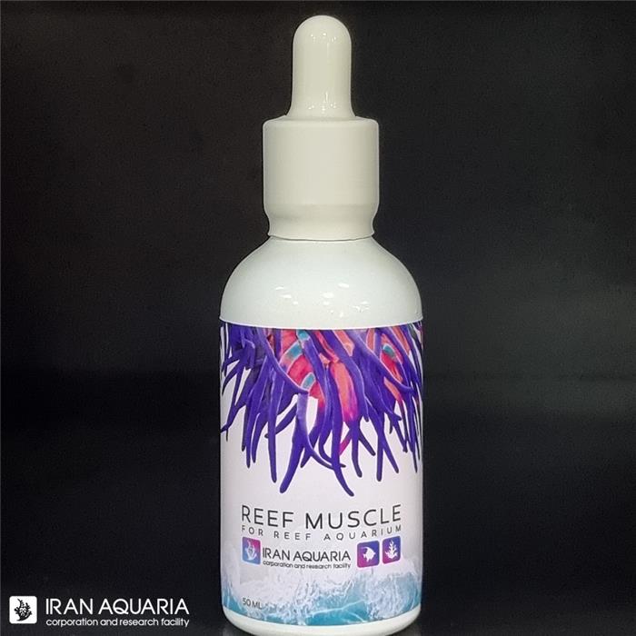 ریف ماسل (Reef Muscle)