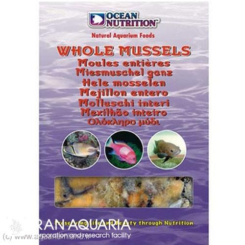 صدف ماسل کامل (Whole Mussles)