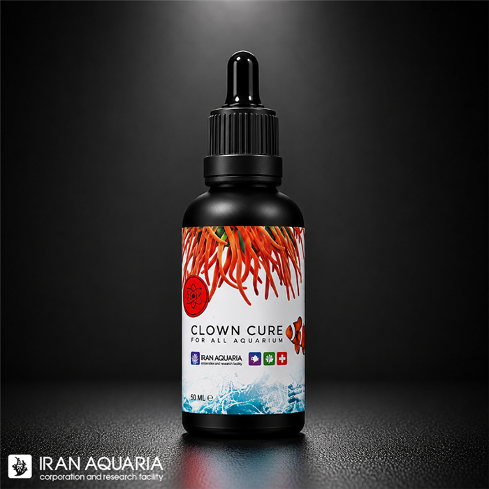 کلون کیور (Clown cure)