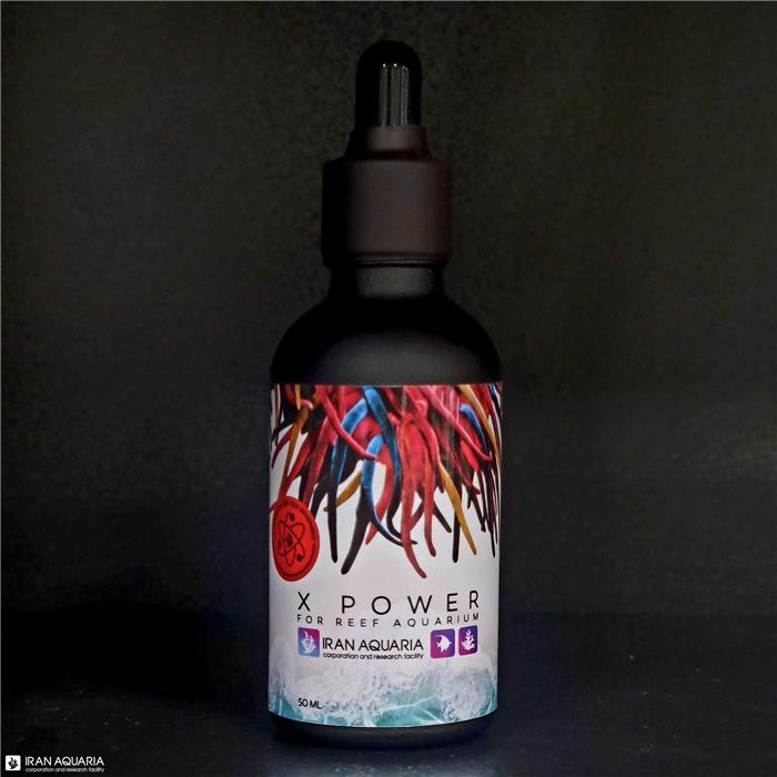 ایکس پاور (X POWER)
