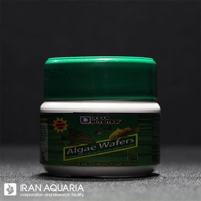 ویفر جلبک (Algae Wafers)