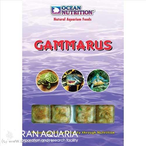 گاماروس (Gammarus)