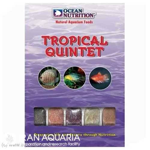 تروپیکال کوئینتت (Tropical Quintet)
