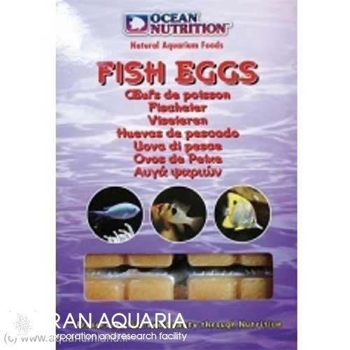 تخم ماهی (Fish Eggs)