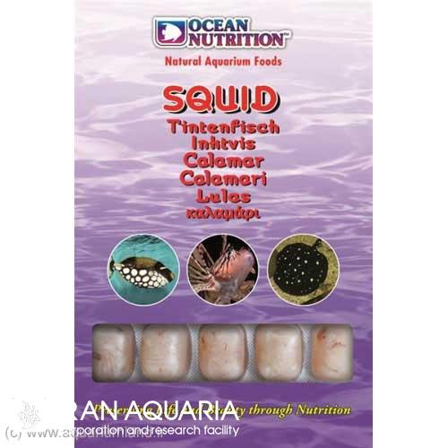 اسکویید (Squid)