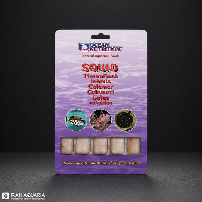 اسکویید (Squid)